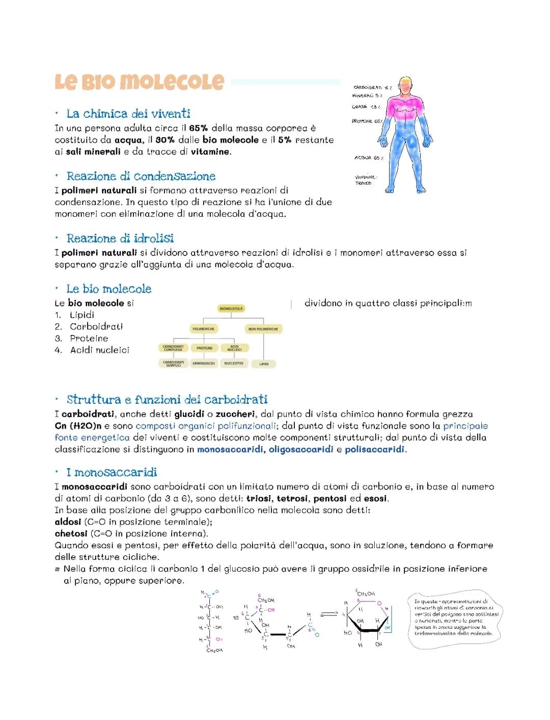 Le biomolecole