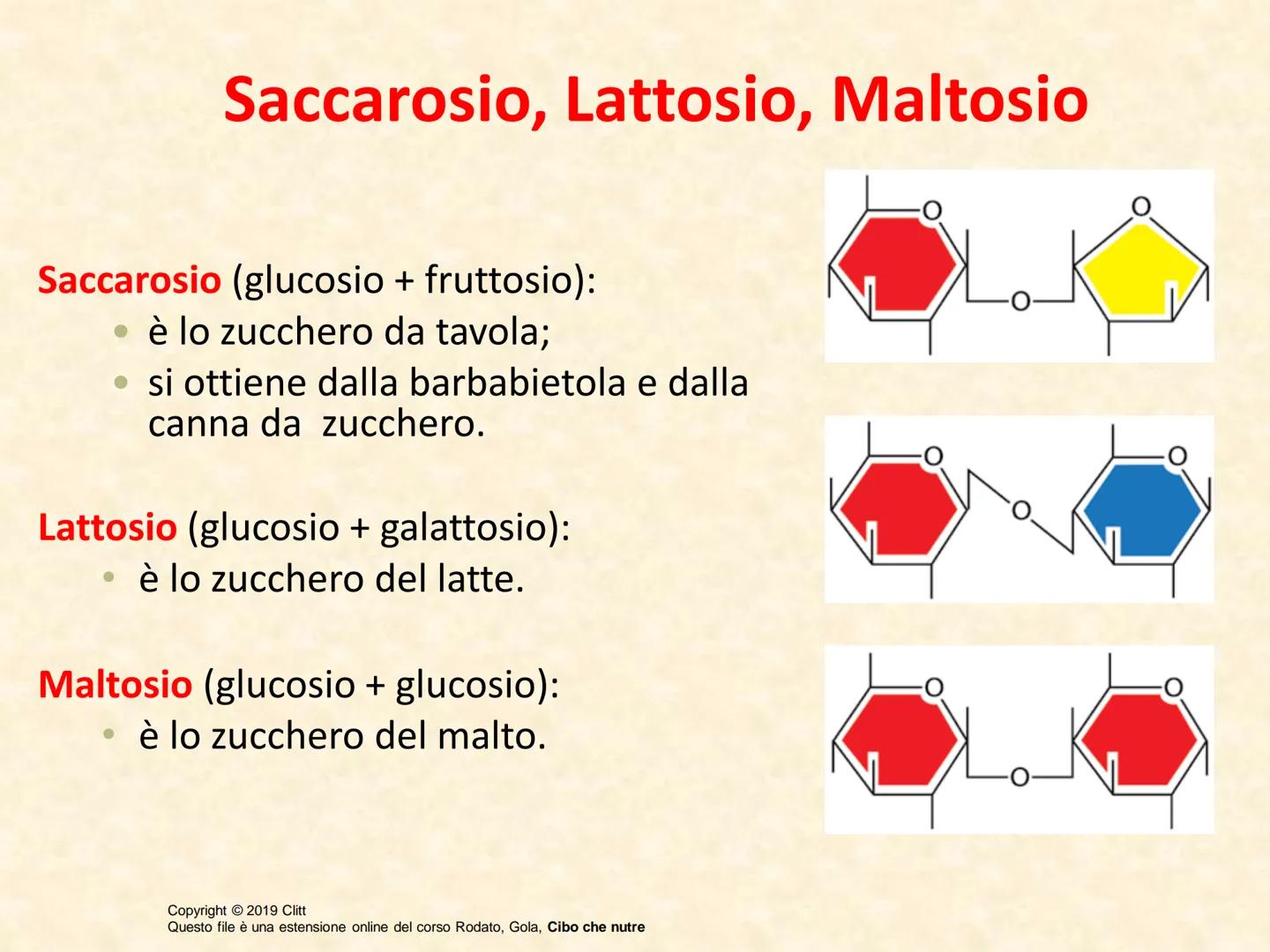 UNITÀ 3: PRINCIPI NUTRITIVI: MACRONUTRIENTI
Lezione 2: GLUCIDI
Copyright © 2019 Clitt
Questo file è una estensione online del corso Rodato, 