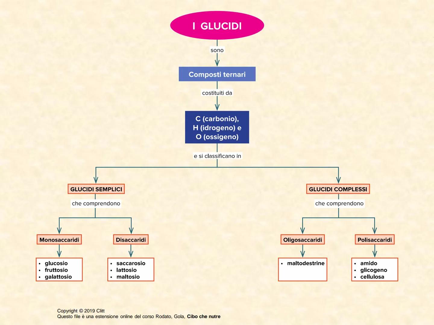 UNITÀ 3: PRINCIPI NUTRITIVI: MACRONUTRIENTI
Lezione 2: GLUCIDI
Copyright © 2019 Clitt
Questo file è una estensione online del corso Rodato, 