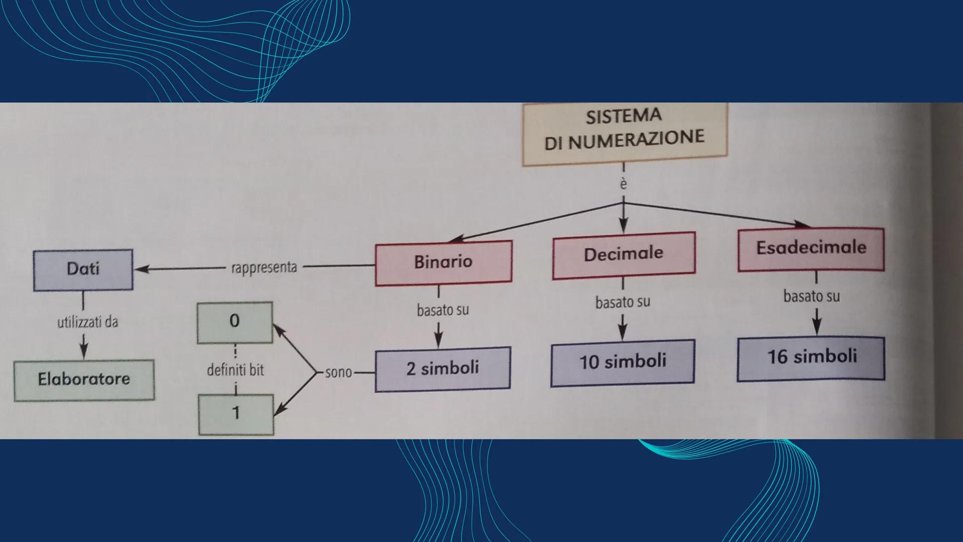 I SISTEMI DI
NUMERAZIONE
Adelisa BBE
Q
●€
2
W
A
10
£ #
3
30 13
$
342 .V
343 .W
344 .W
345 .W
346
.W
.Wi
347
348
34
35
35
Facci
fo
F4
Tipi di