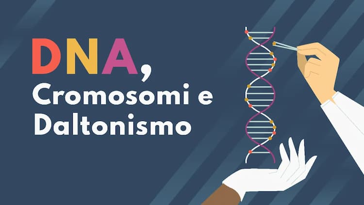 Know DNA, cromosomi e daltonismo thumbnail