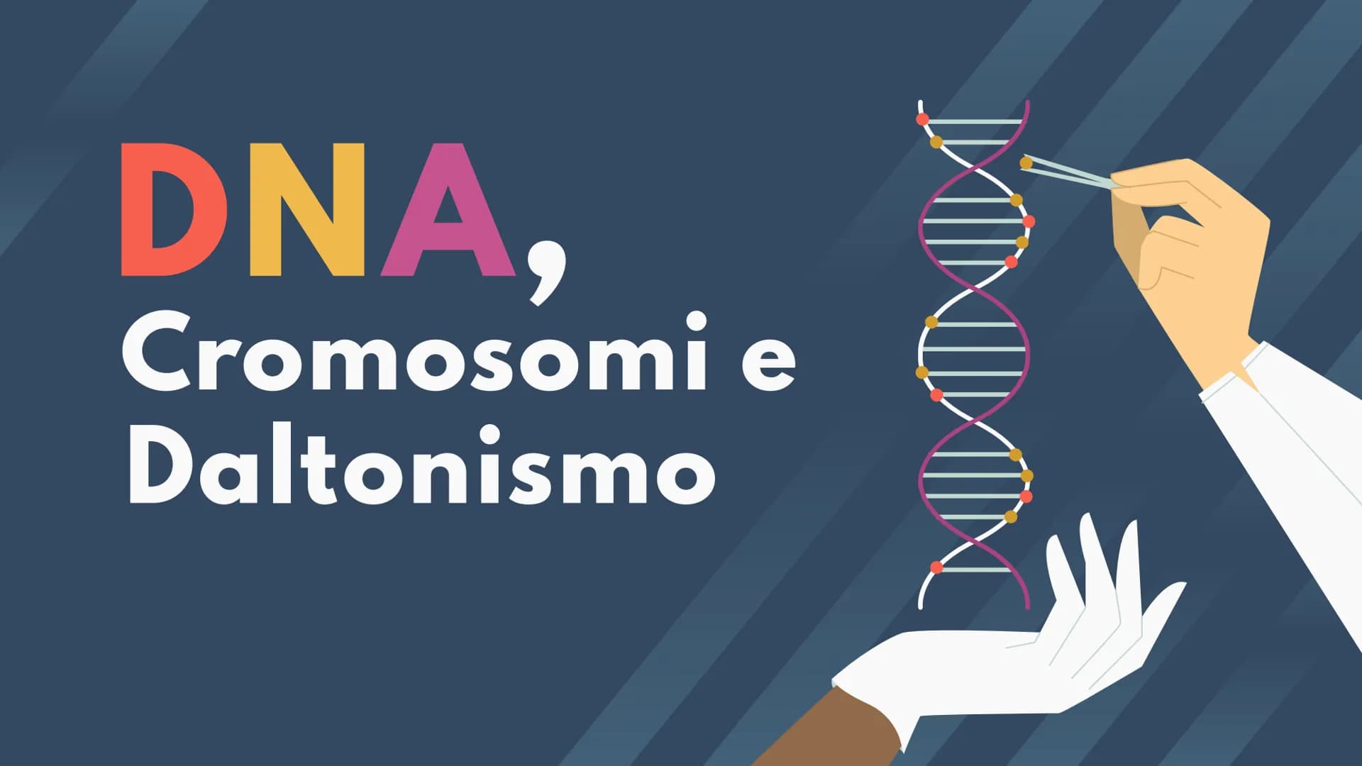 DNA,
Cromosomi e
Daltonismo
NKN
F • Argomenti Trattati
01 DNA
02 Cromosomi
03 Daltonismo IND
01
DNA
Com'è fatto? A cosa serve? II DNA
Il DNA