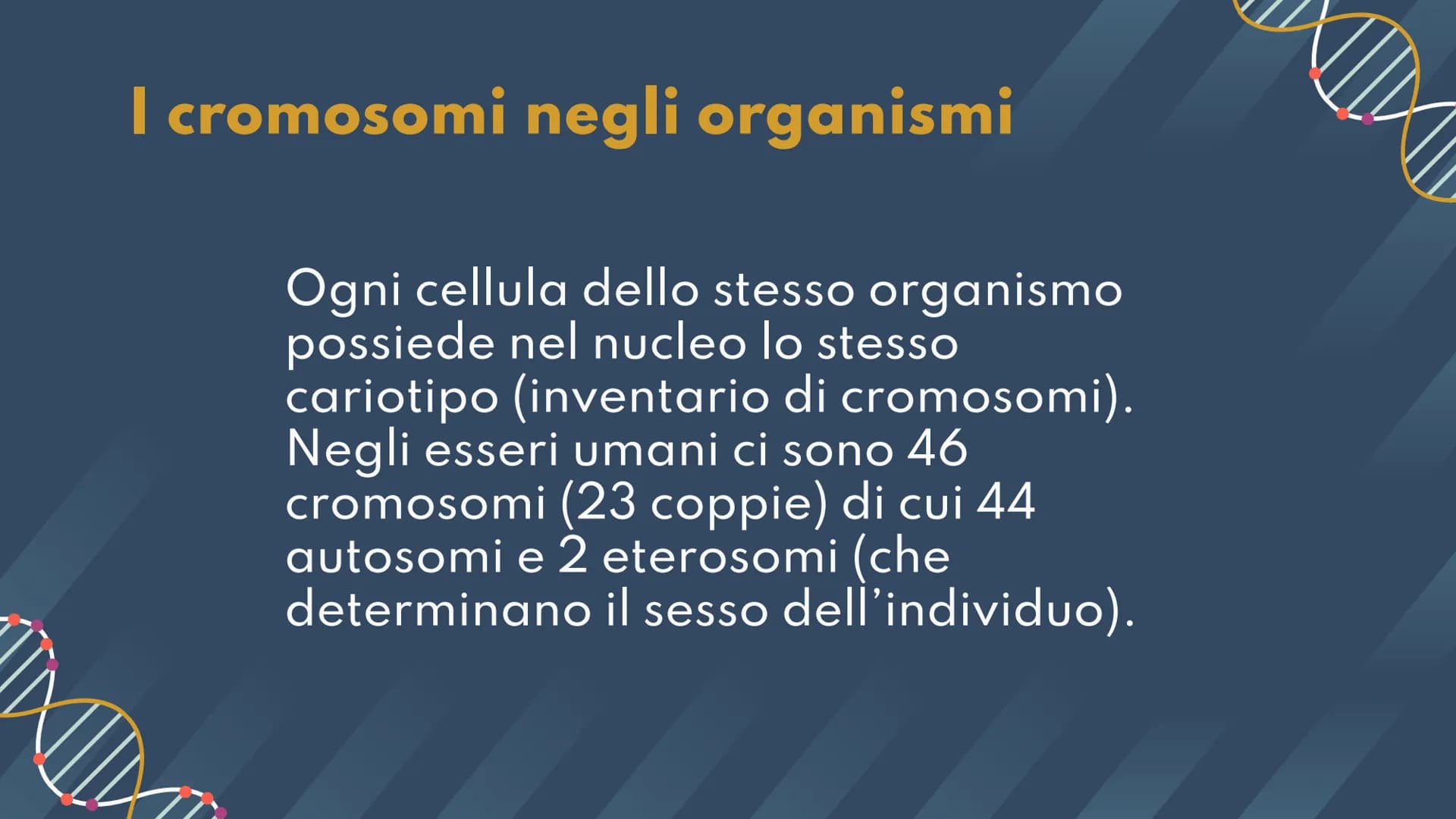 DNA,
Cromosomi e
Daltonismo
NKN
F • Argomenti Trattati
01 DNA
02 Cromosomi
03 Daltonismo IND
01
DNA
Com'è fatto? A cosa serve? II DNA
Il DNA