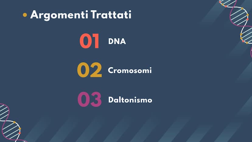 DNA,
Cromosomi e
Daltonismo
NKN
F • Argomenti Trattati
01 DNA
02 Cromosomi
03 Daltonismo IND
01
DNA
Com'è fatto? A cosa serve? II DNA
Il DNA