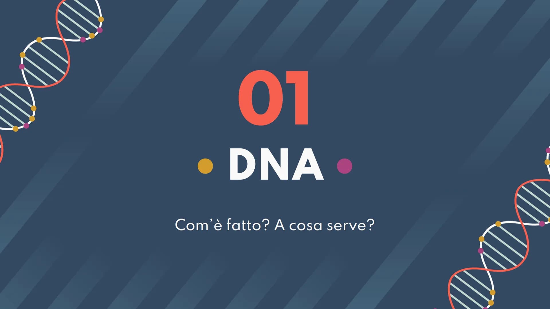 DNA,
Cromosomi e
Daltonismo
NKN
F • Argomenti Trattati
01 DNA
02 Cromosomi
03 Daltonismo IND
01
DNA
Com'è fatto? A cosa serve? II DNA
Il DNA