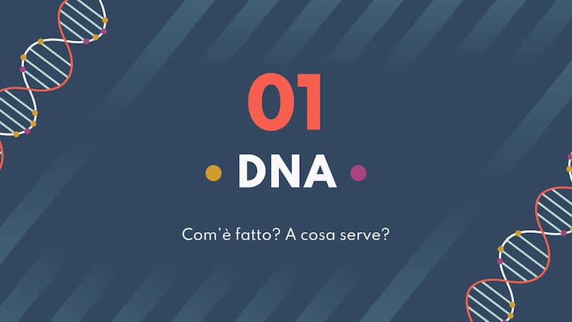 DNA,
Cromosomi e
Daltonismo
NKN
F • Argomenti Trattati
01 DNA
02 Cromosomi
03 Daltonismo IND
01
DNA
Com'è fatto? A cosa serve? II DNA
Il DNA