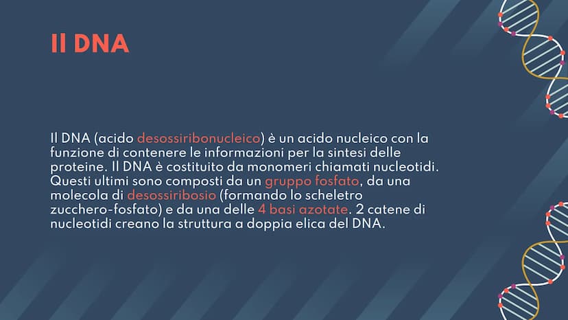 DNA,
Cromosomi e
Daltonismo
NKN
F • Argomenti Trattati
01 DNA
02 Cromosomi
03 Daltonismo IND
01
DNA
Com'è fatto? A cosa serve? II DNA
Il DNA