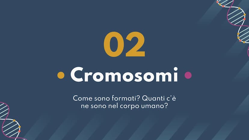 DNA,
Cromosomi e
Daltonismo
NKN
F • Argomenti Trattati
01 DNA
02 Cromosomi
03 Daltonismo IND
01
DNA
Com'è fatto? A cosa serve? II DNA
Il DNA