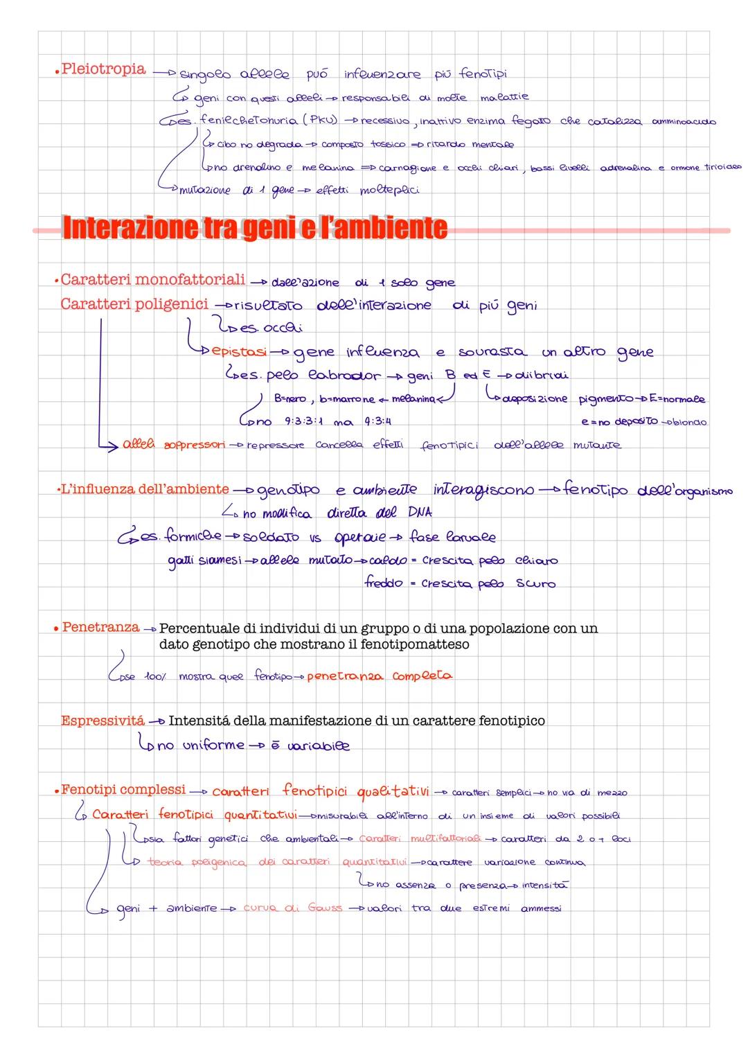 LA GENETICA MENDELIANA
Gregor Mendel (1822-1884)
modalità degli esperimenti di mendel → piante di pisello odoroso (Pisum sativum)
- Controll