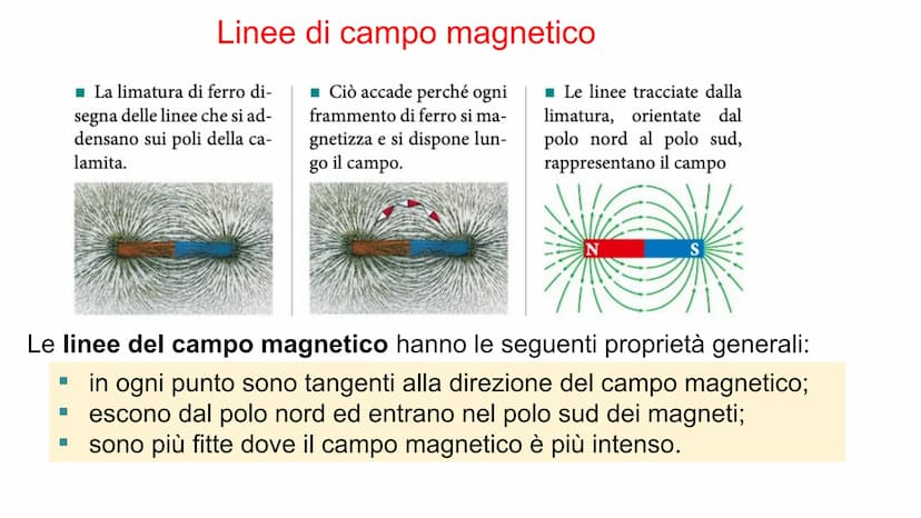 Magnetismo
nel vuoto Il magnetismo
Nel VI secolo a.C. in Grecia già si sapeva che la magnetite attira il ferro.
La magnetite è un minerale c