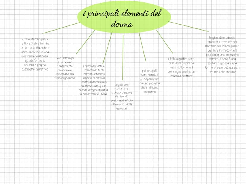 Scienze l'organizzazione e
il rivestimento del
corpo l'arto superiore
è collegato al tronco e
comprende il braccio.
l'avambraccio e la mano.
