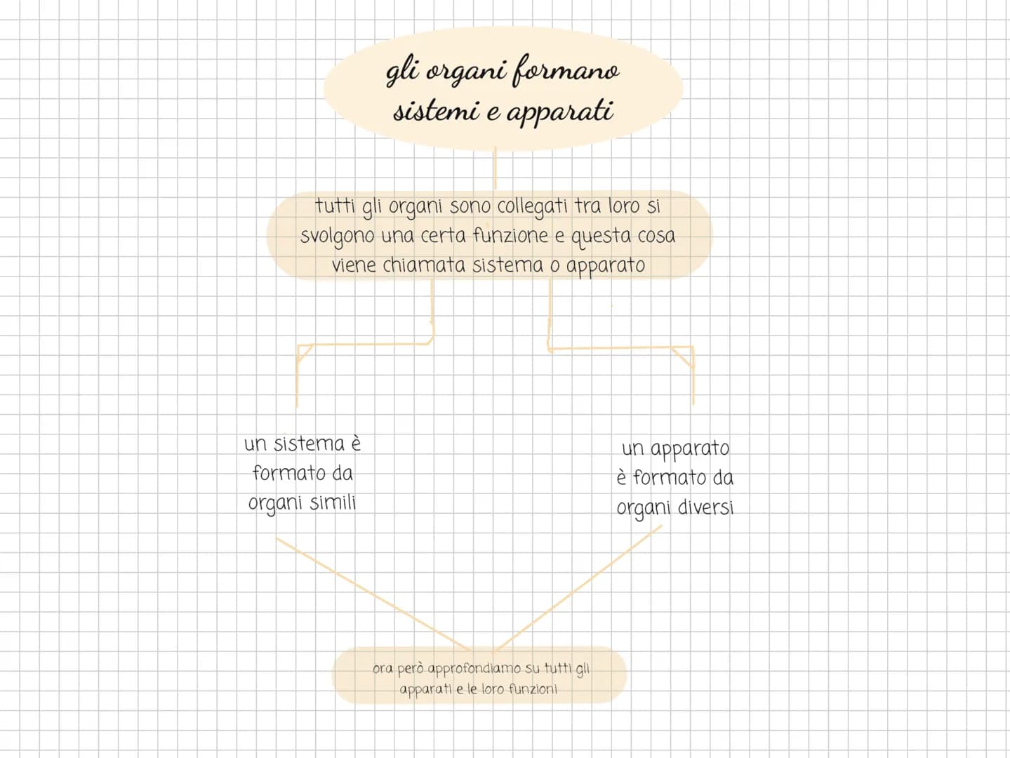 Scienze l'organizzazione e
il rivestimento del
corpo l'arto superiore
è collegato al tronco e
comprende il braccio.
l'avambraccio e la mano.