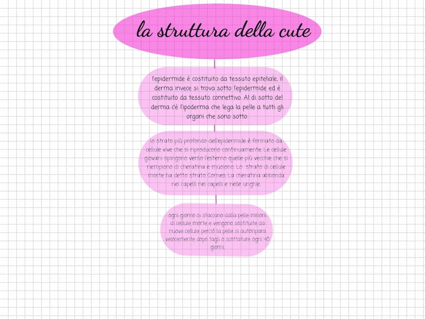 Scienze l'organizzazione e
il rivestimento del
corpo l'arto superiore
è collegato al tronco e
comprende il braccio.
l'avambraccio e la mano.