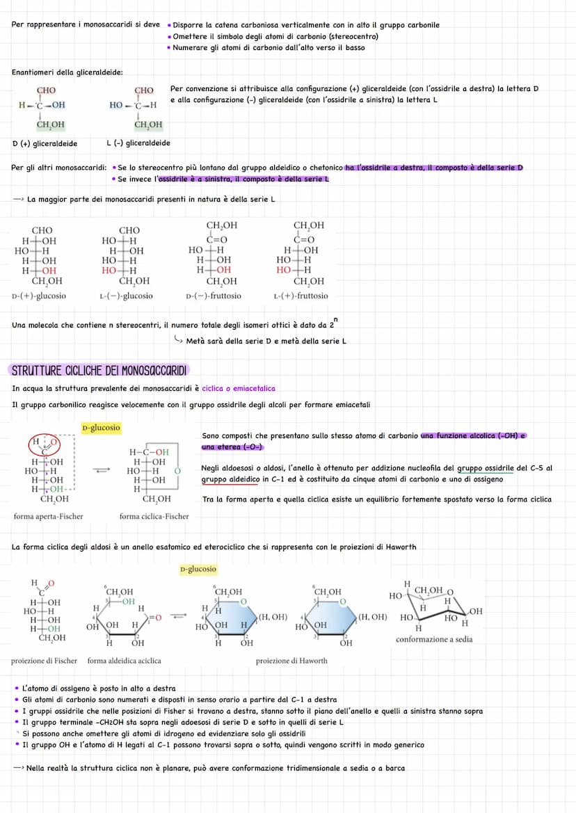 STRUTTURA
I carboidrati o glucidi sono biomolecole monomeriche o polimeriche costituite da
• Due o più gruppi idrossido (-OH)
• Un gruppo al