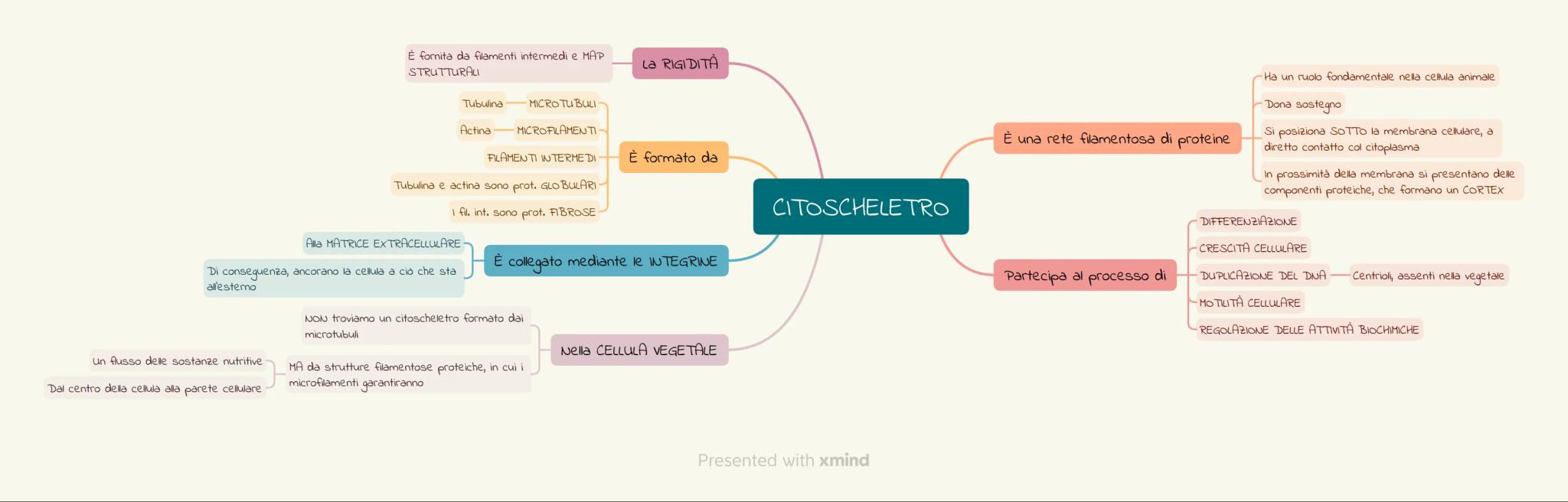 Cellulosa in particolare
Ne regola la distensione
Funzione di depositario di sostanze inorganiche
Ruolo fonadementale nella CRESCITA della c