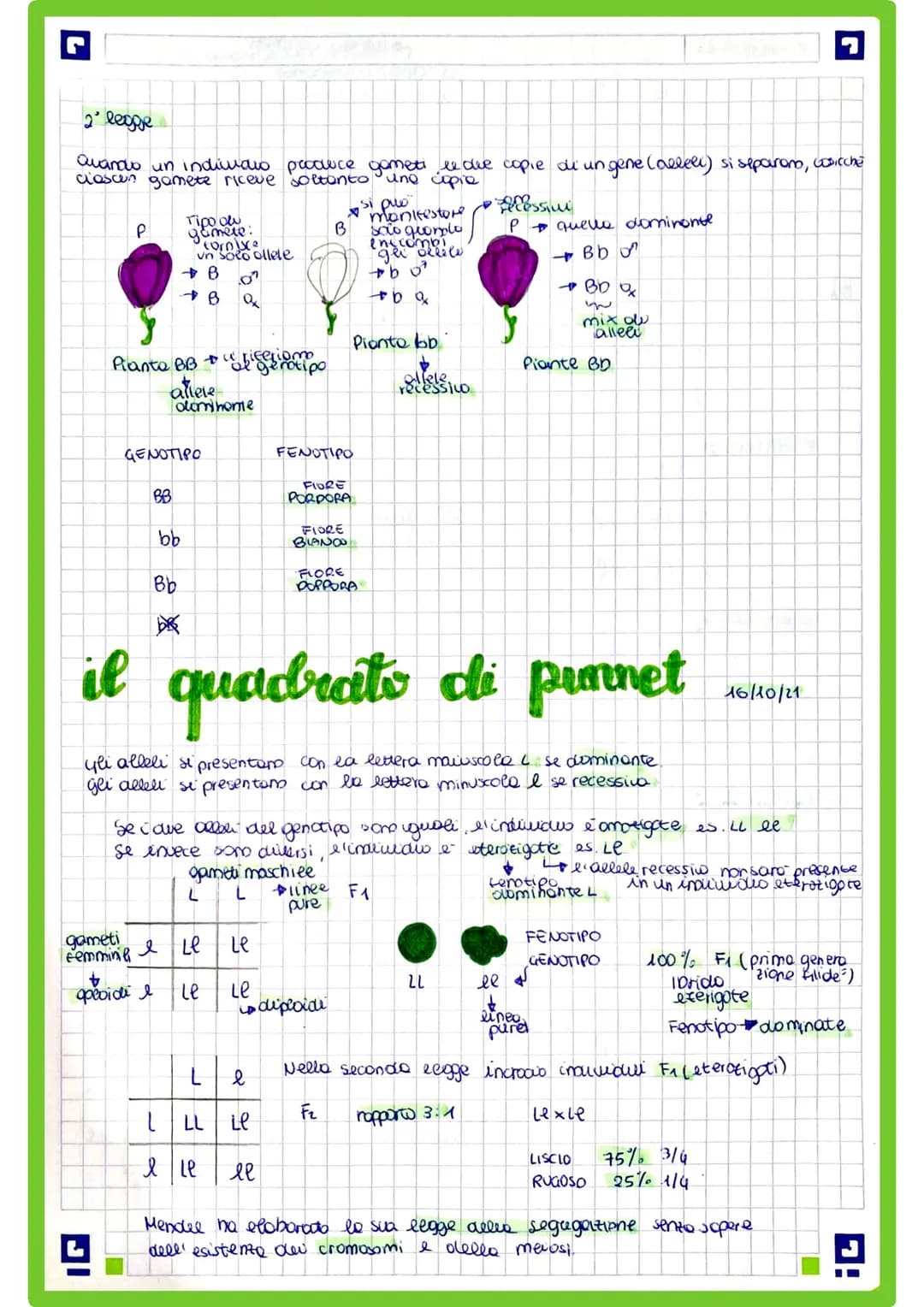 
<p>La genetica è una branca della biologia che comprende il genetica classico o generale, la citogenetica e la genetica molecolare. In ques