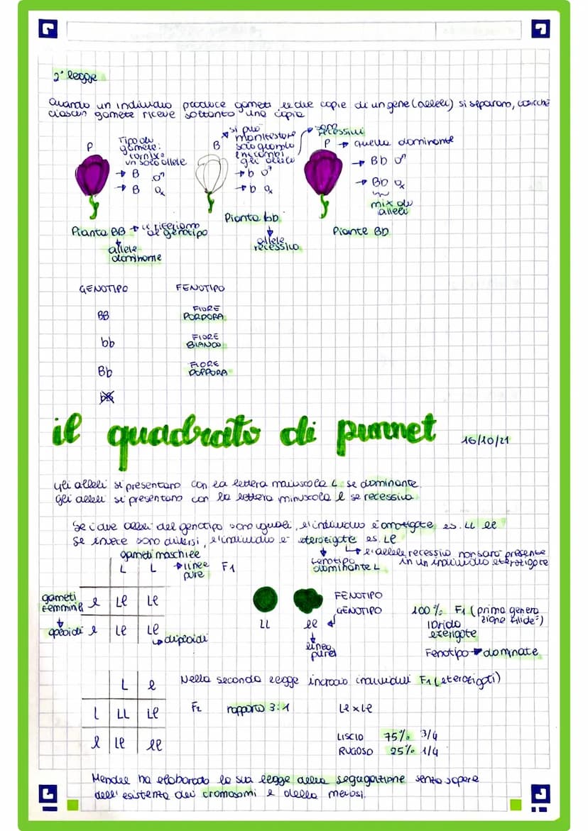 
<p>La genetica è una branca della biologia che comprende il genetica classico o generale, la citogenetica e la genetica molecolare. In ques
