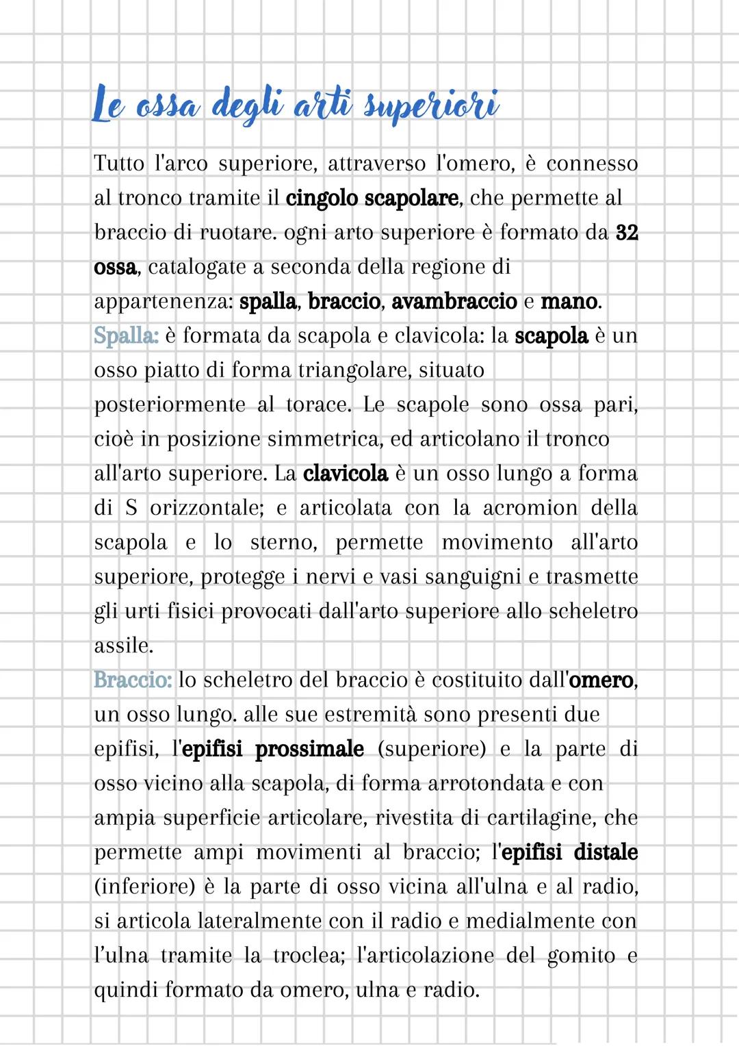 L'apparato scheletrico
L'apparato scheletrico è composto dall'unione di tessuti
diversi che danno forma alle ossa, le quali insieme
formano 