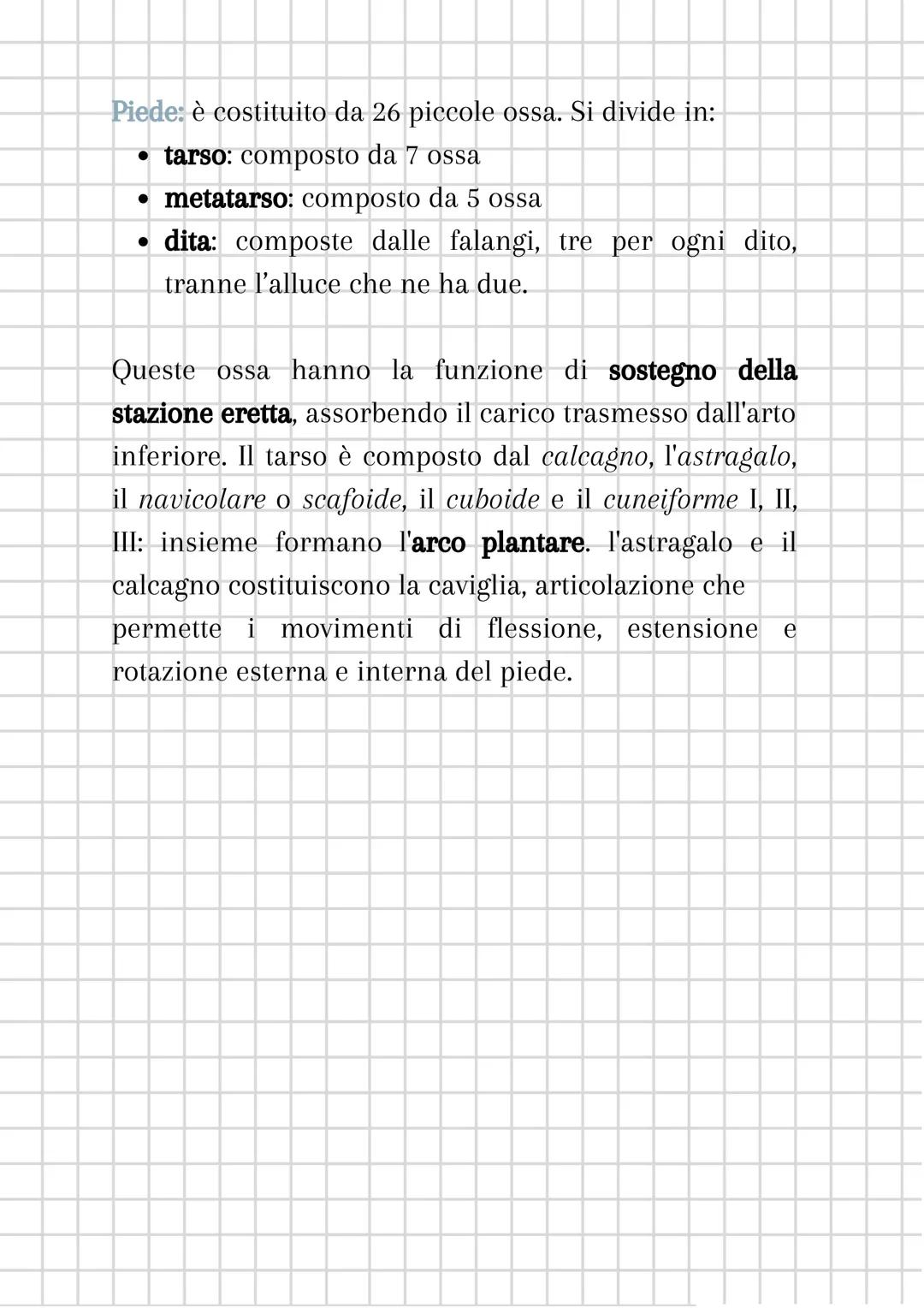 L'apparato scheletrico
L'apparato scheletrico è composto dall'unione di tessuti
diversi che danno forma alle ossa, le quali insieme
formano 