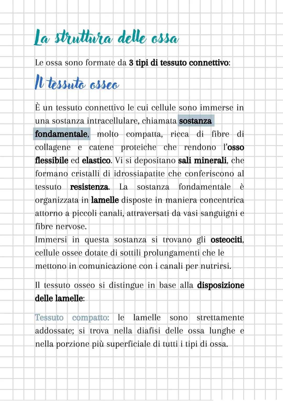 L'apparato scheletrico
L'apparato scheletrico è composto dall'unione di tessuti
diversi che danno forma alle ossa, le quali insieme
formano 