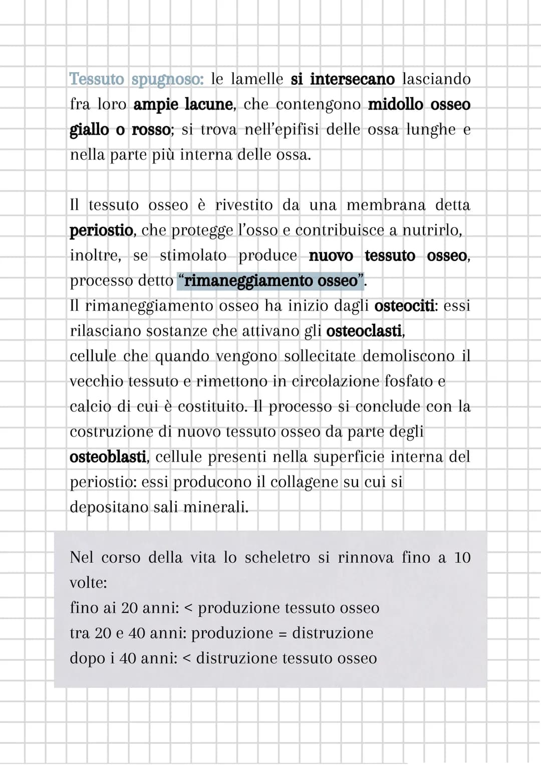 L'apparato scheletrico
L'apparato scheletrico è composto dall'unione di tessuti
diversi che danno forma alle ossa, le quali insieme
formano 