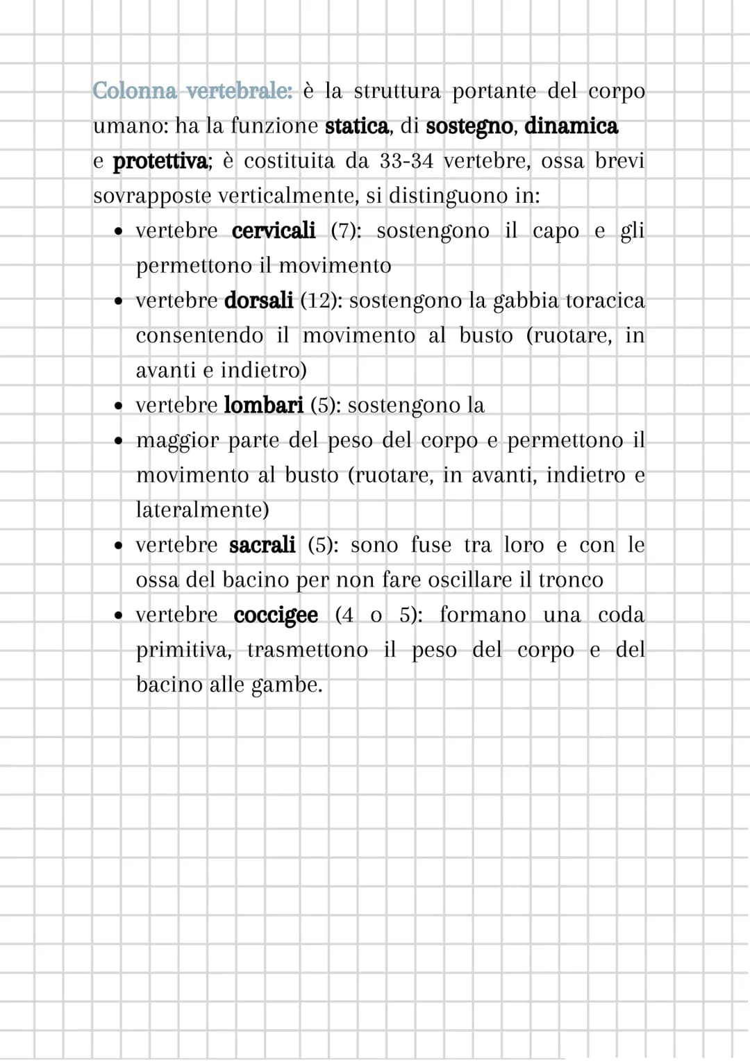 L'apparato scheletrico
L'apparato scheletrico è composto dall'unione di tessuti
diversi che danno forma alle ossa, le quali insieme
formano 