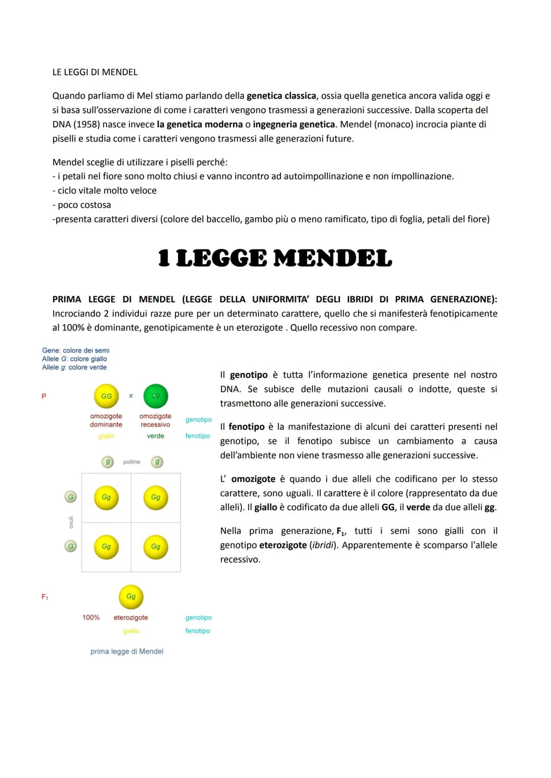 P
LE LEGGI DI MENDEL
F₁
Quando parliamo di Mel stiamo parlando della genetica classica, ossia quella genetica ancora valida oggi e
si basa s