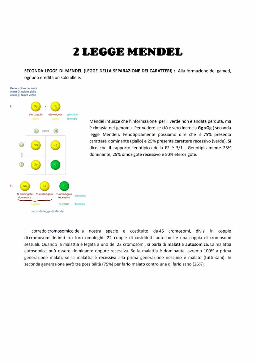 P
LE LEGGI DI MENDEL
F₁
Quando parliamo di Mel stiamo parlando della genetica classica, ossia quella genetica ancora valida oggi e
si basa s