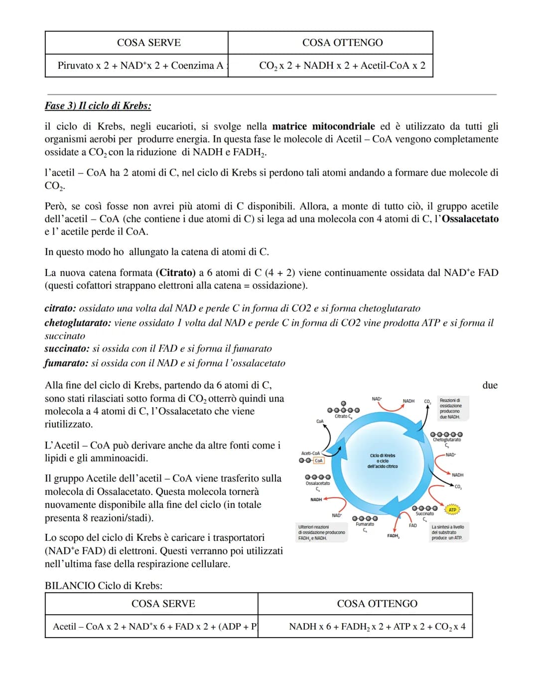 RESPIRAZIONE CELLULARE:
Fase 1) Glicolisi (avviene nel citoplasma):
Il glucosio viene fosforilato una prima volta
aggiunta di un gruppo fosf