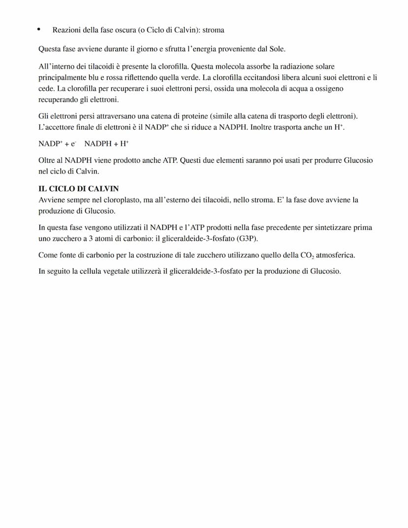 RESPIRAZIONE CELLULARE:
Fase 1) Glicolisi (avviene nel citoplasma):
Il glucosio viene fosforilato una prima volta
aggiunta di un gruppo fosf