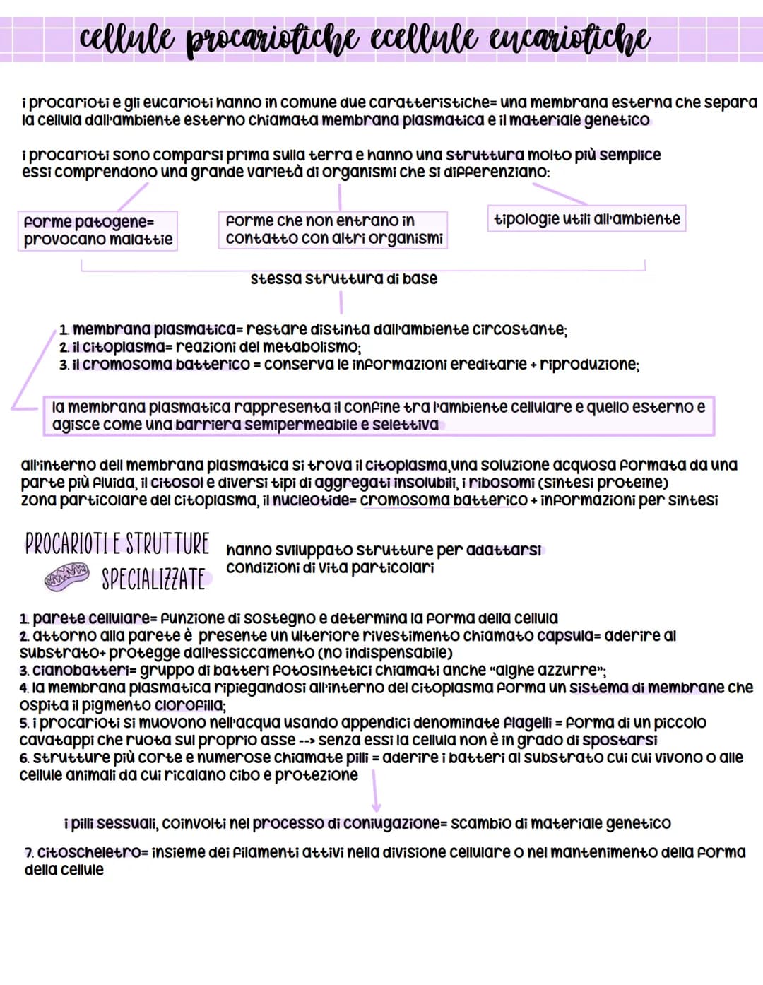 *
biologia
X l'origine della vita
prima ipotesi scientificamente provata = biochimico russo Aleksander oparin e ripresa successivamente
da H