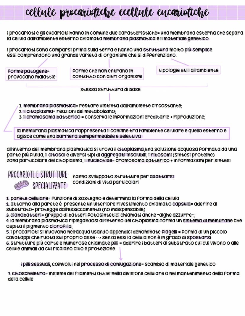 *
biologia
X l'origine della vita
prima ipotesi scientificamente provata = biochimico russo Aleksander oparin e ripresa successivamente
da H