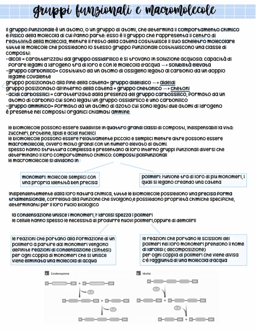 *
biologia
X l'origine della vita
prima ipotesi scientificamente provata = biochimico russo Aleksander oparin e ripresa successivamente
da H