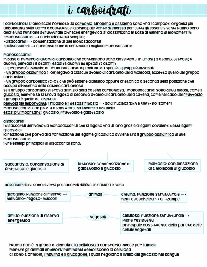 *
biologia
X l'origine della vita
prima ipotesi scientificamente provata = biochimico russo Aleksander oparin e ripresa successivamente
da H
