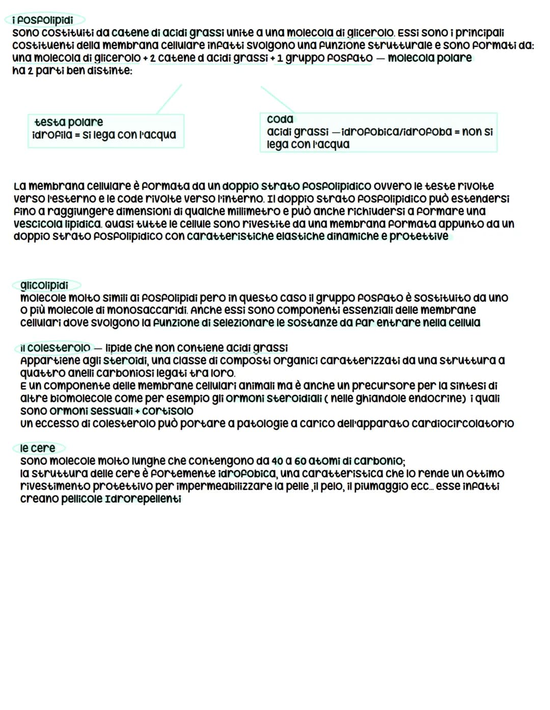 *
biologia
X l'origine della vita
prima ipotesi scientificamente provata = biochimico russo Aleksander oparin e ripresa successivamente
da H