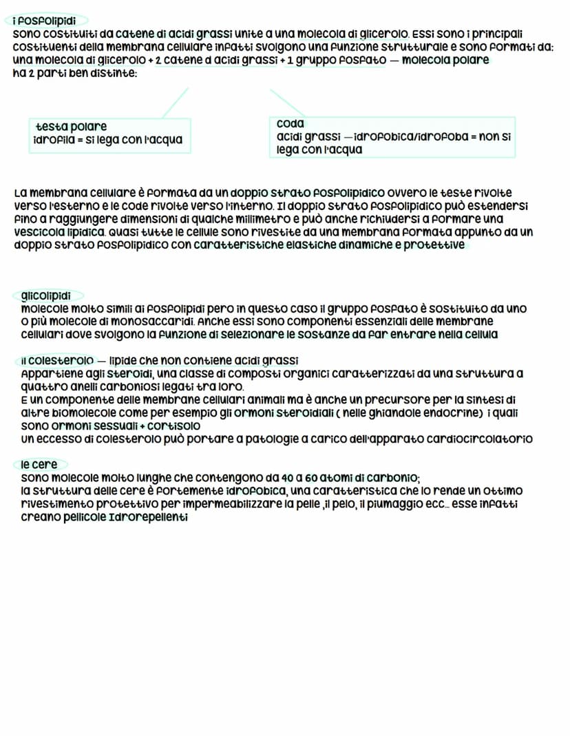 *
biologia
X l'origine della vita
prima ipotesi scientificamente provata = biochimico russo Aleksander oparin e ripresa successivamente
da H
