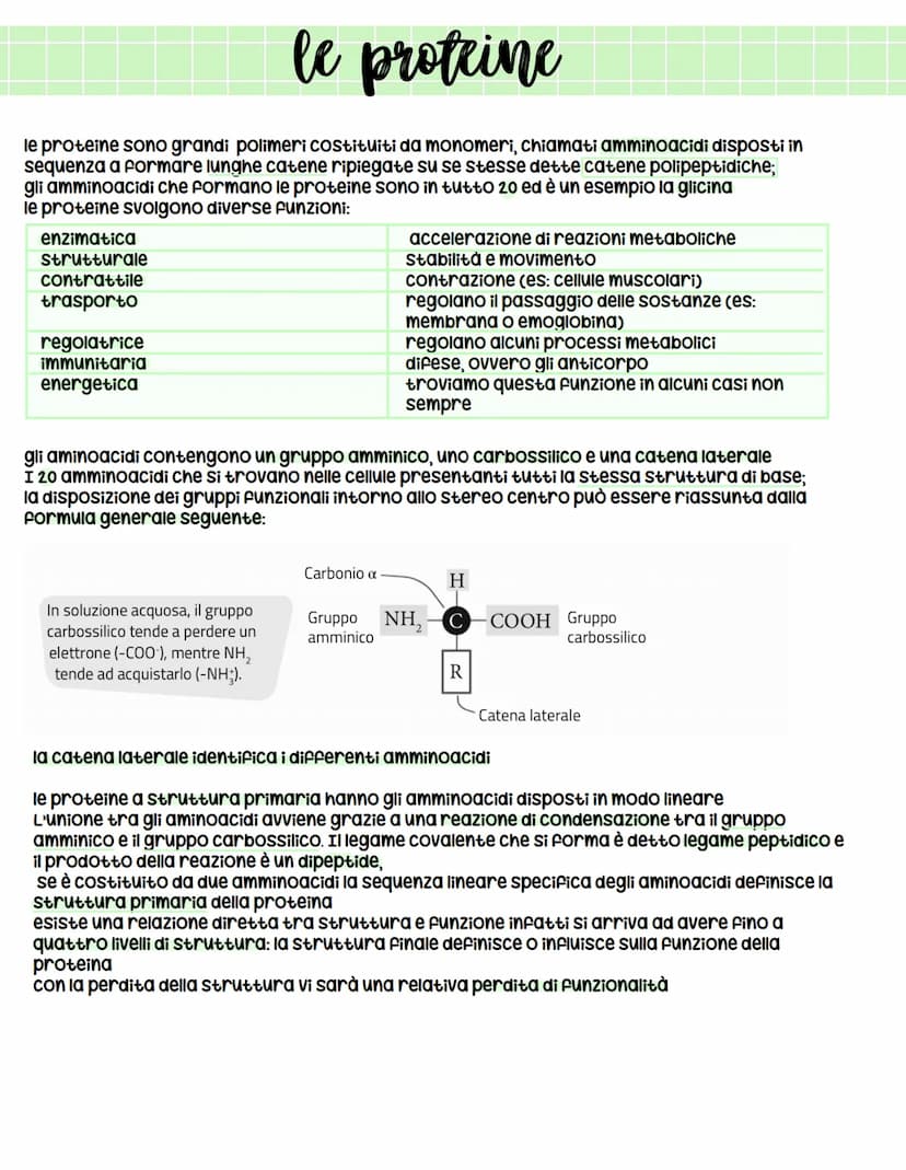 *
biologia
X l'origine della vita
prima ipotesi scientificamente provata = biochimico russo Aleksander oparin e ripresa successivamente
da H