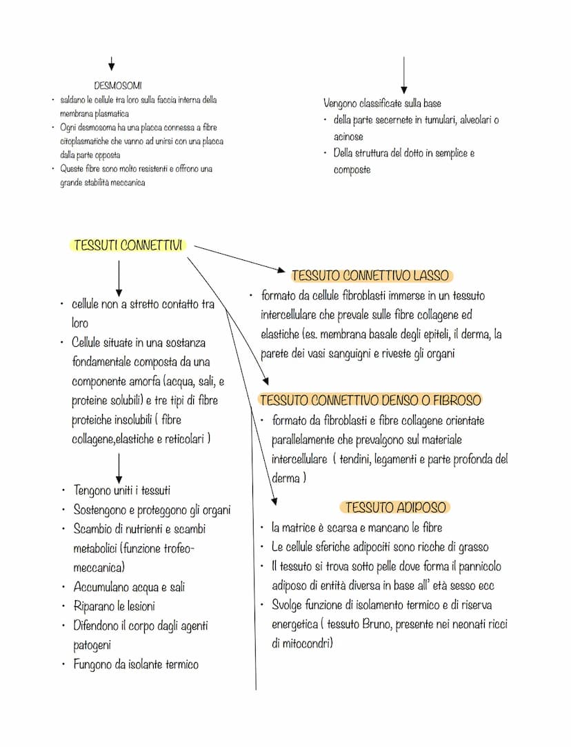 cellule che svolgono lo stesso lavoro formano TESSUTI
tessuti diversi formano ORGANI
organi che collaborano allo svolgimento di una stessa
f