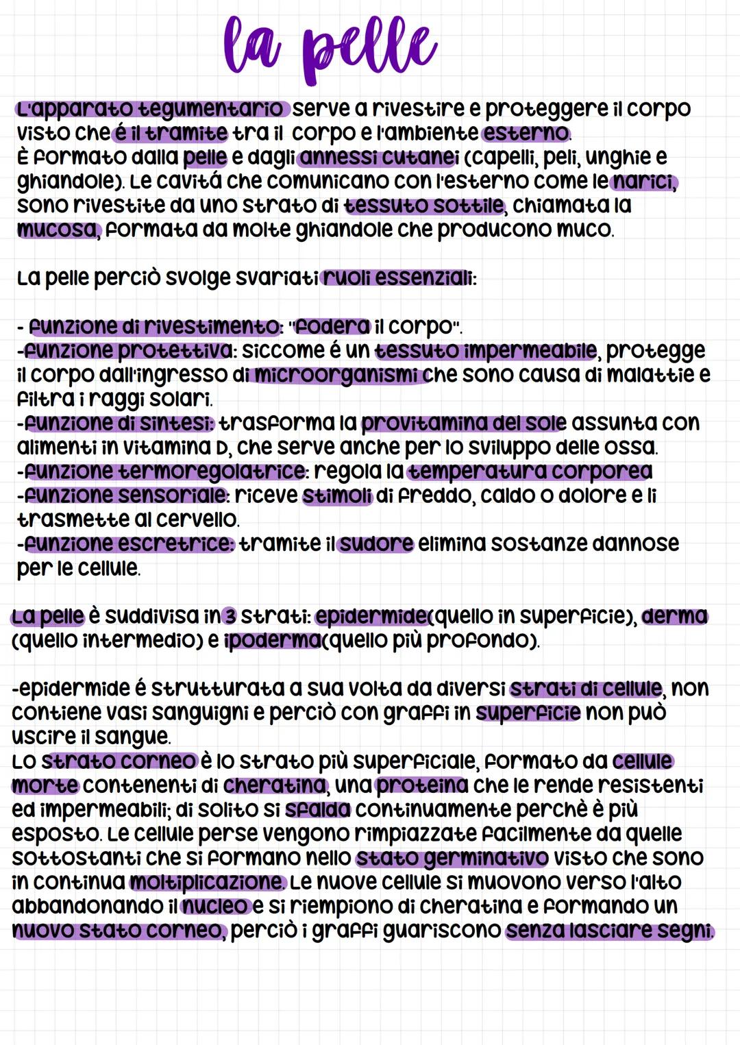la pelle
L'apparato tegumentario serve a rivestire e proteggere il corpo
visto che é il tramite tra il corpo e l'ambiente esterno.
È formato