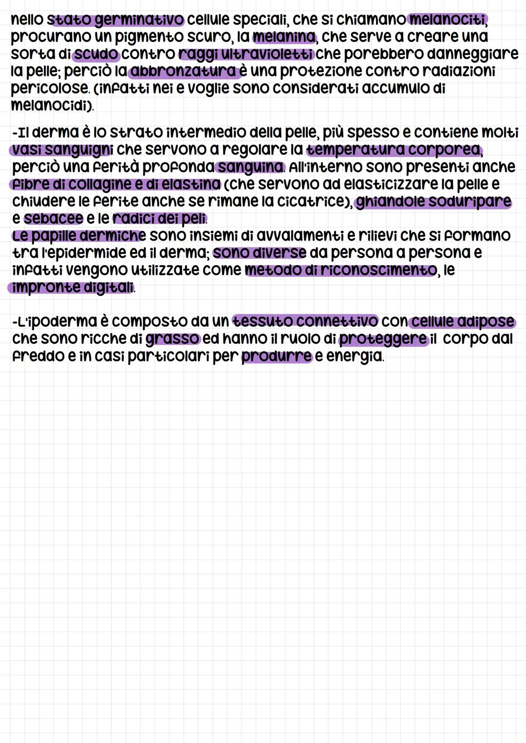 la pelle
L'apparato tegumentario serve a rivestire e proteggere il corpo
visto che é il tramite tra il corpo e l'ambiente esterno.
È formato
