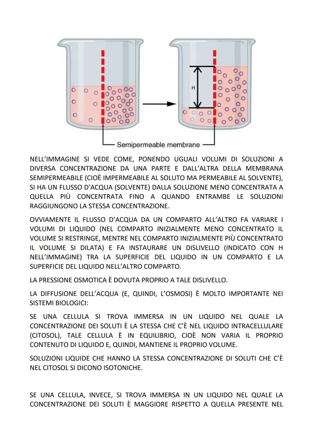 LA MEMBRANA PLASMATICA:
È UNA STRUTTURA FORMATA DA UN DUE STRATI DI FOSFOLIPIDI, DISPOSTI IN
MODO CHE LE CODE PRENDONO CONTATTTO TRA DI LORO