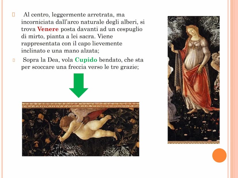 La Primavera del Botticelli
Questa celebre e amata opera del Botticelli fu dipinta per Lorenzo Pierfrancesco de
Medici, cugino di Lorenzo il