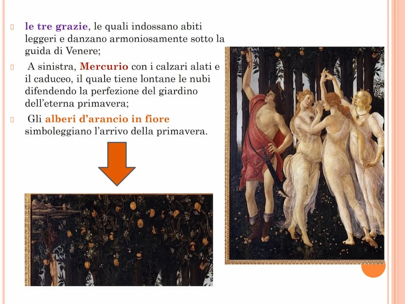 La Primavera del Botticelli
Questa celebre e amata opera del Botticelli fu dipinta per Lorenzo Pierfrancesco de
Medici, cugino di Lorenzo il