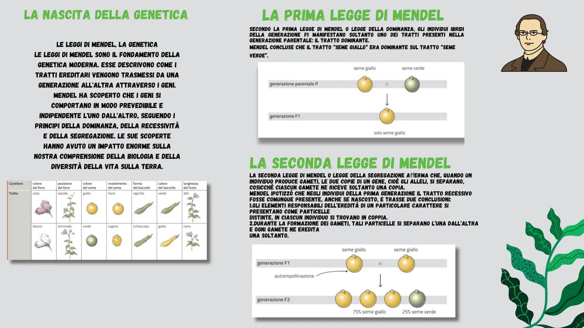 LENO UT
мл
CHOREO Perche' ho scelts questo
argoments?
Ho scelto questo argomento perchè penso che la
bellezza abbia dei pregi e dei difetti 