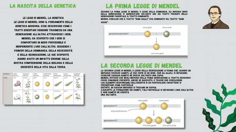 LENO UT
мл
CHOREO Perche' ho scelts questo
argoments?
Ho scelto questo argomento perchè penso che la
bellezza abbia dei pregi e dei difetti 