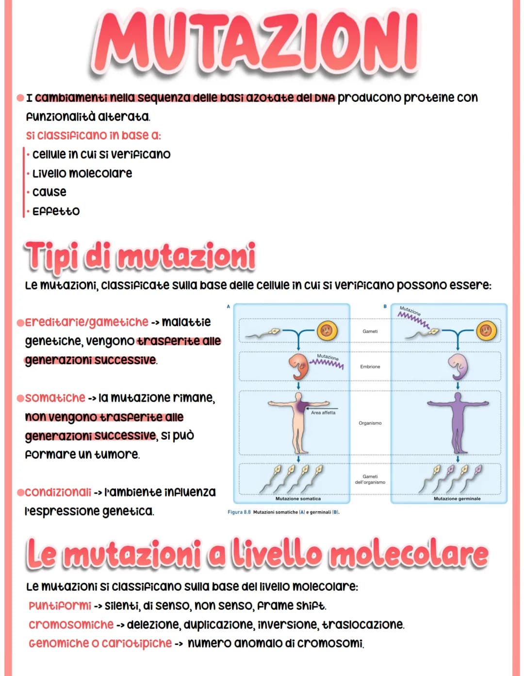 MUTAZIONI
I cambiamenti nella sequenza delle basi azotate del DNA producono proteine con
funzionalità alterata.
Si classificano in base a:
c