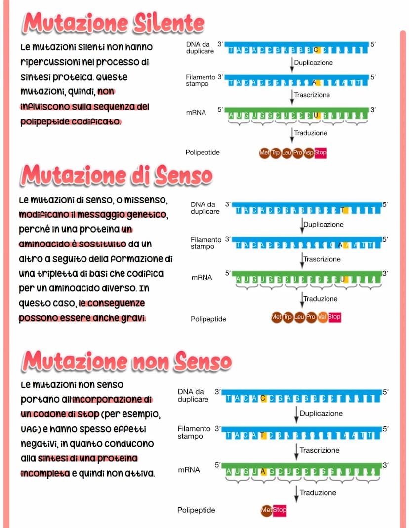 MUTAZIONI
I cambiamenti nella sequenza delle basi azotate del DNA producono proteine con
funzionalità alterata.
Si classificano in base a:
c