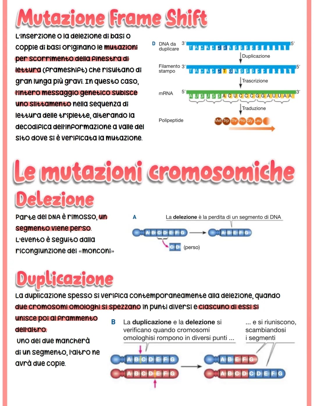 MUTAZIONI
I cambiamenti nella sequenza delle basi azotate del DNA producono proteine con
funzionalità alterata.
Si classificano in base a:
c