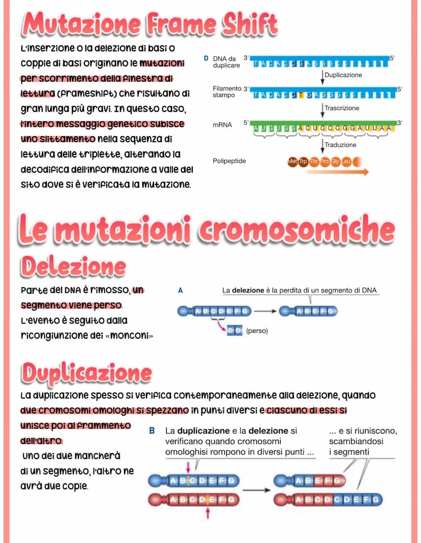 MUTAZIONI
I cambiamenti nella sequenza delle basi azotate del DNA producono proteine con
funzionalità alterata.
Si classificano in base a:
c