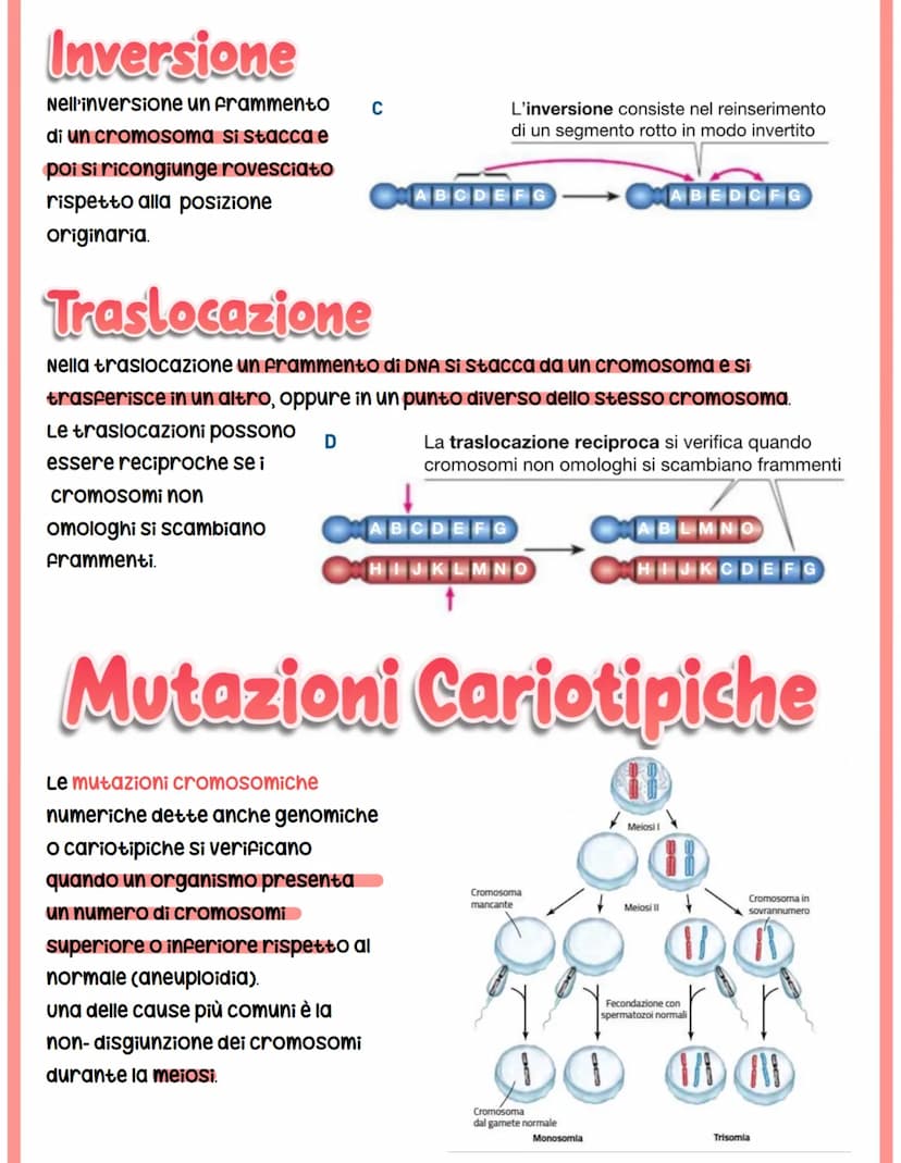 MUTAZIONI
I cambiamenti nella sequenza delle basi azotate del DNA producono proteine con
funzionalità alterata.
Si classificano in base a:
c